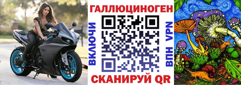 Псилоцибиновые грибы GOLDEN TEACHER  блэк спрут вход  Алагир  цены наркотик 
